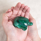 Genuine Malachite Turtles- Hand Carved - 1 of a Kind