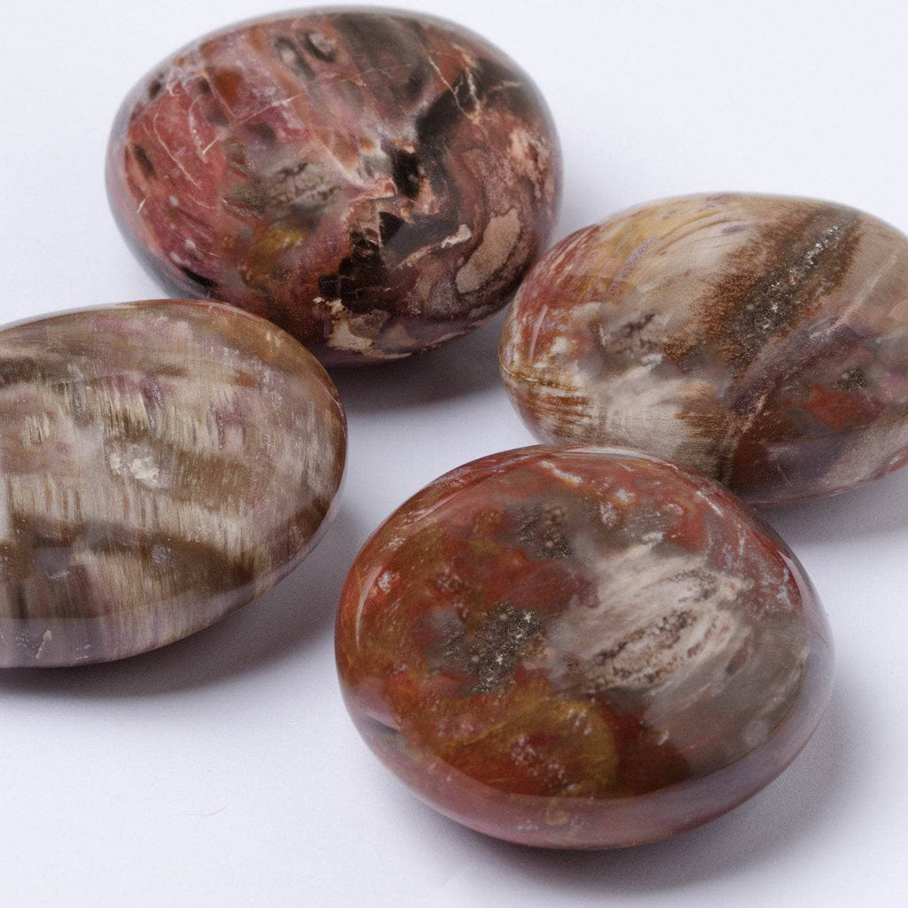 Petrified Wood Palm Stone