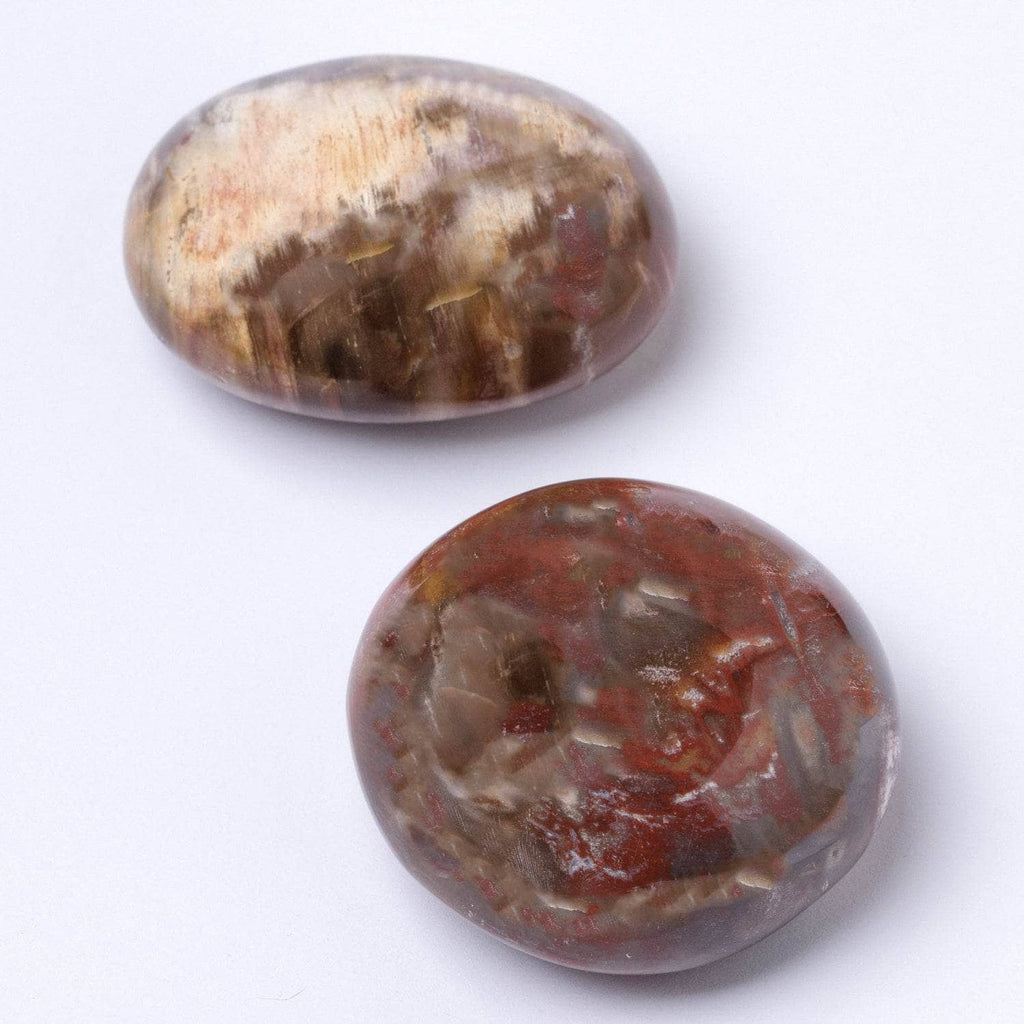 Petrified Wood Palm Stone