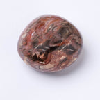 Petrified Wood Palm Stone