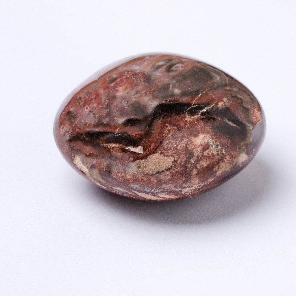 Petrified Wood Palm Stone