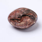 Petrified Wood Palm Stone