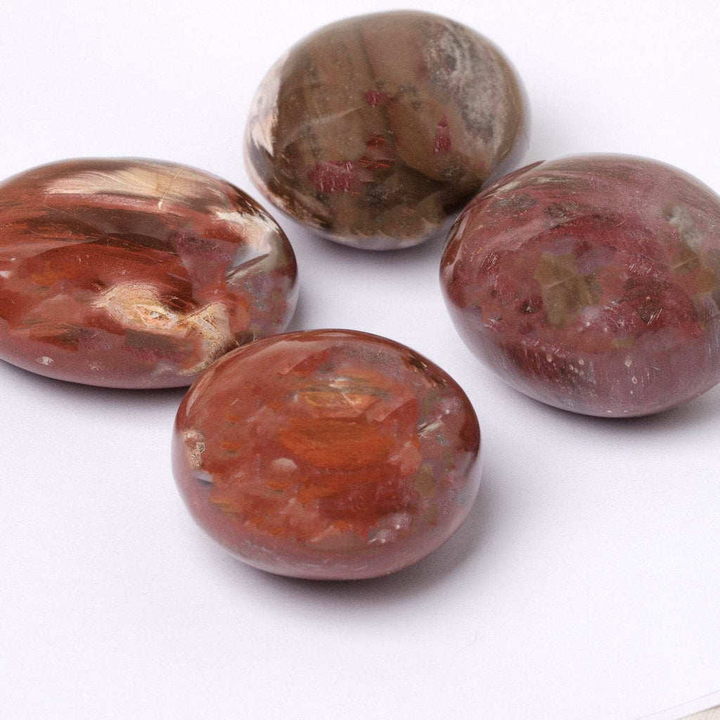Petrified Wood Palm Stone