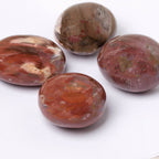 Petrified Wood Palm Stone