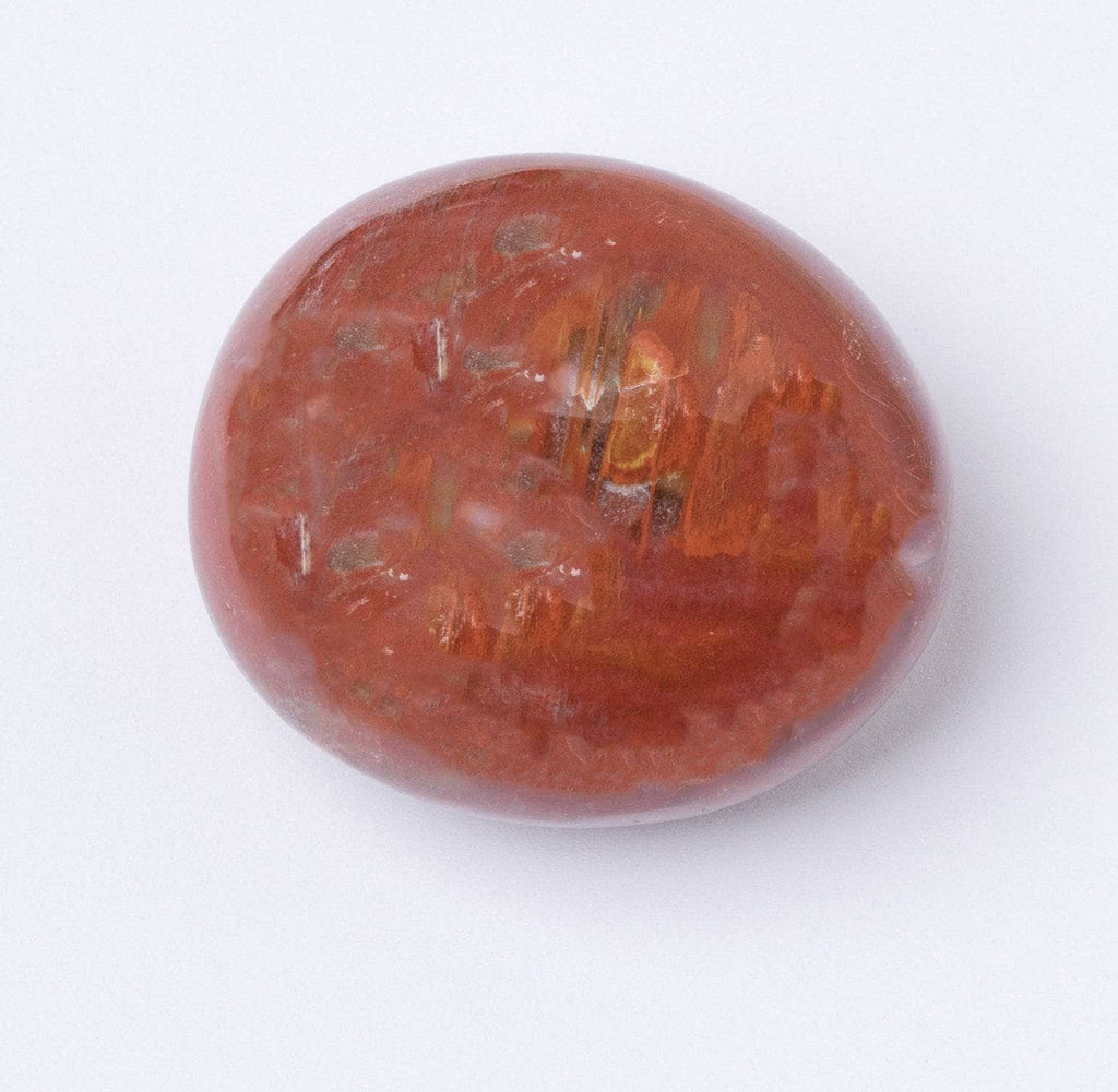 Petrified Wood Palm Stone