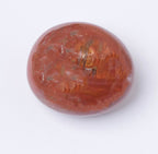 Petrified Wood Palm Stone