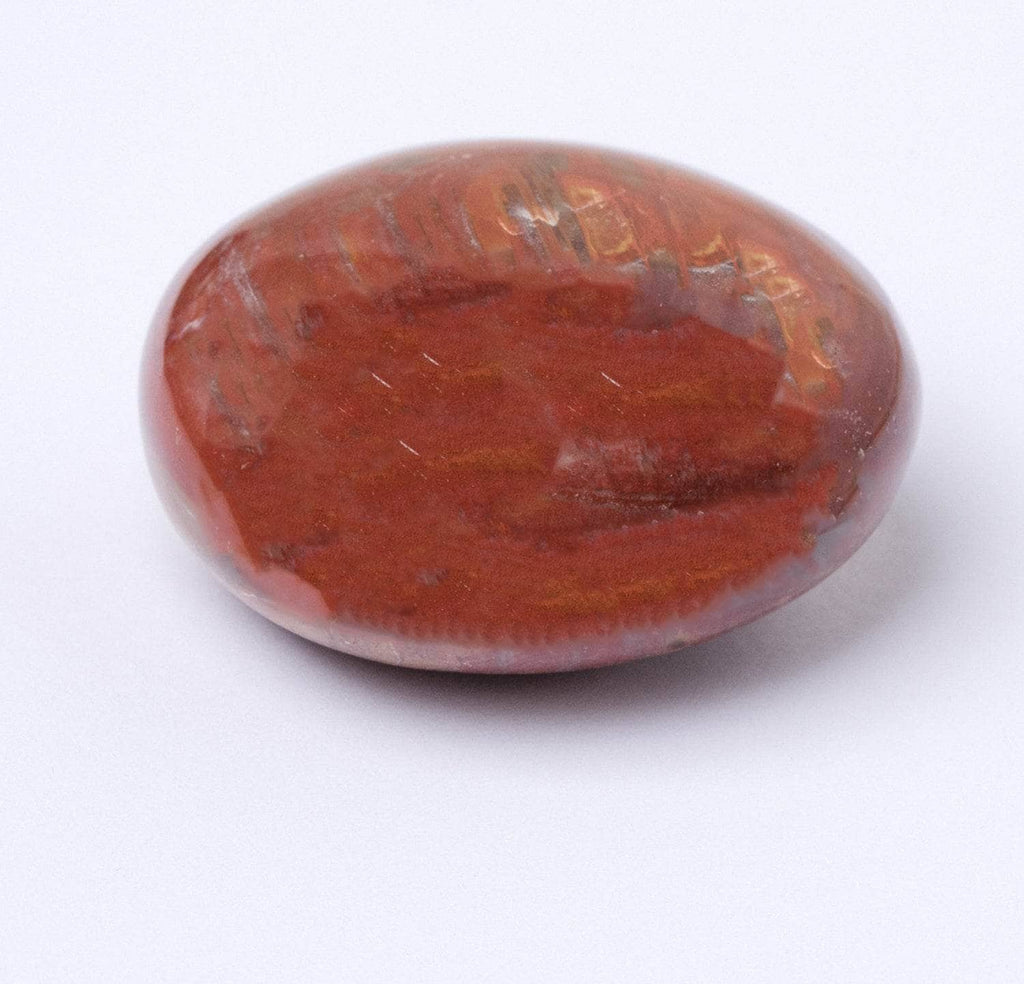 Petrified Wood Palm Stone
