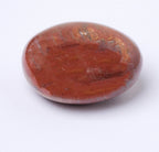 Petrified Wood Palm Stone