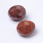 Petrified Wood Palm Stone