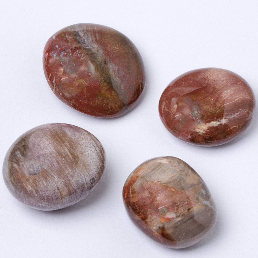 Petrified Wood Palm Stone
