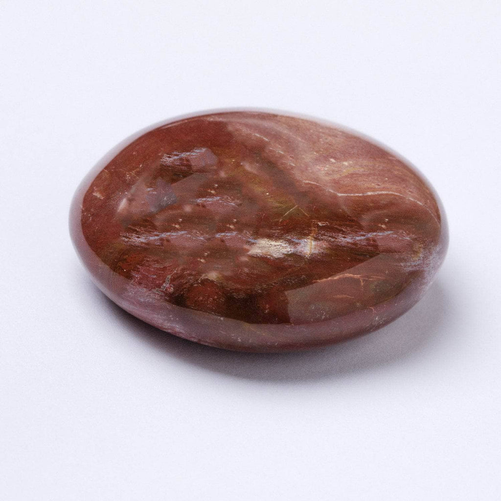 Petrified Wood Palm Stone