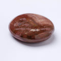 Petrified Wood Palm Stone