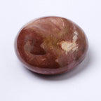 Petrified Wood Palm Stone