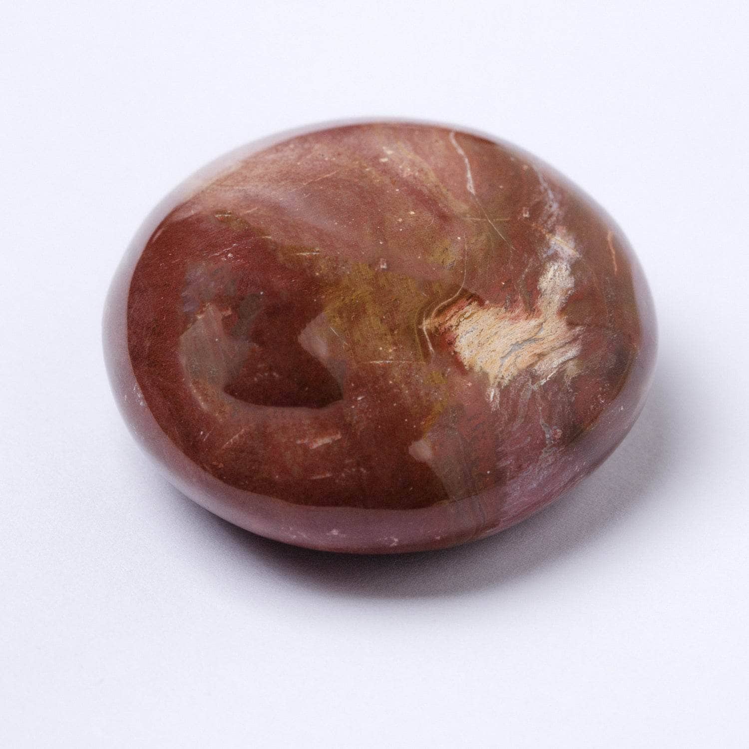 Petrified Wood Palm Stone