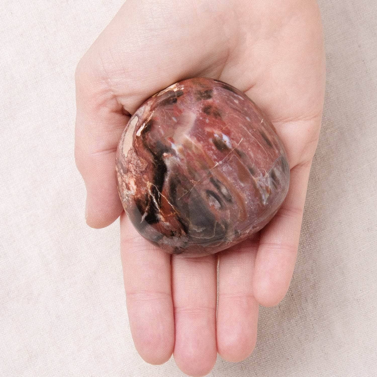 Petrified Wood Palm Stone