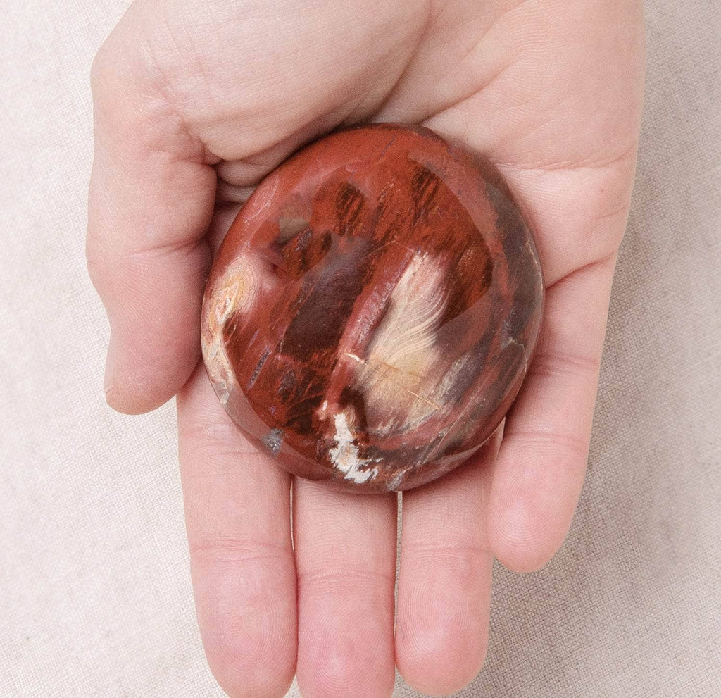 Petrified Wood Palm Stone