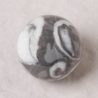 Shell Fossil Sphere with Tripod - AAA Premium Quality