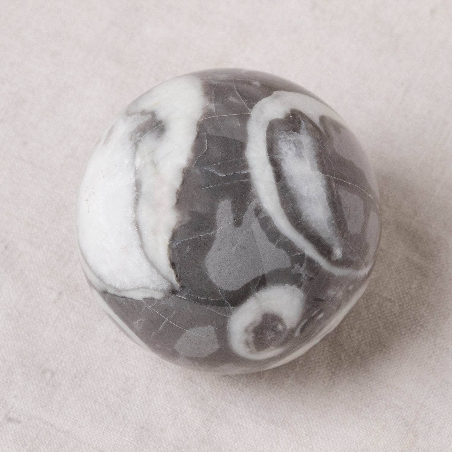 Shell Fossil Sphere with Tripod - AAA Premium Quality